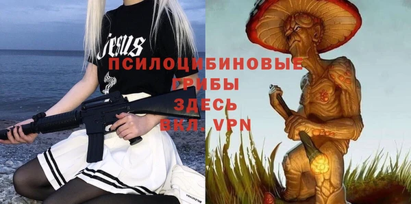 2c-b Алексеевка